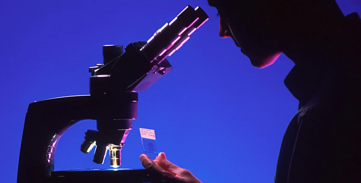 The Science of Serendipity How Stephanie Kwoleks Curiosity at DuPont Revolutionized Industrial Materials and Modern Safety